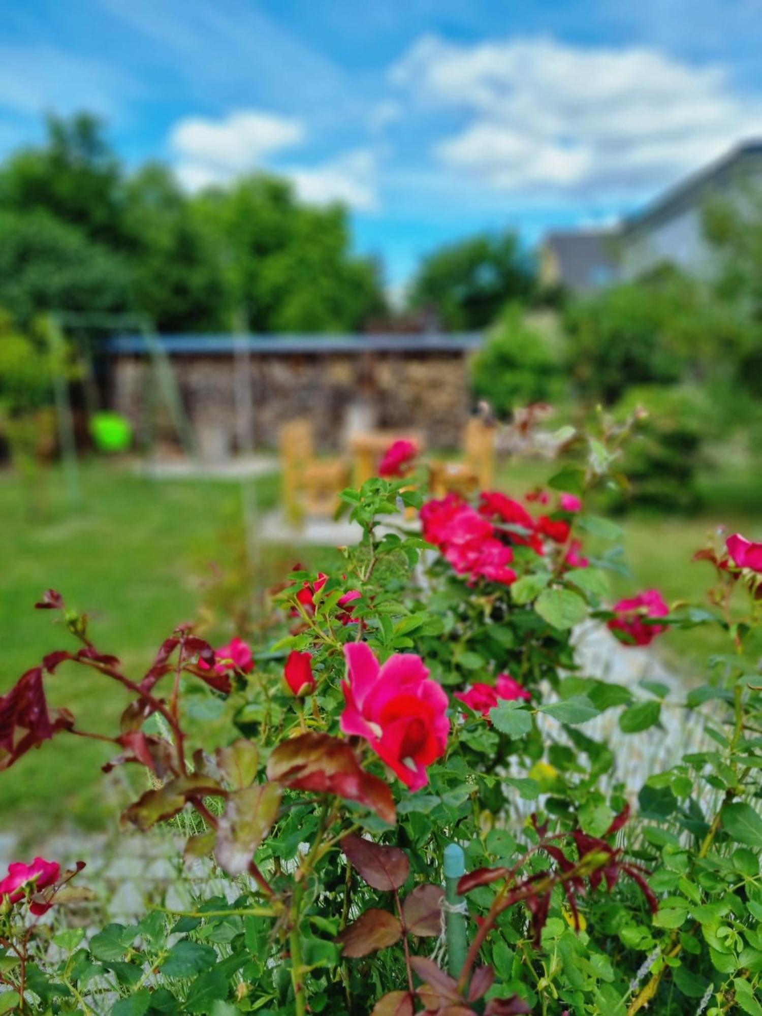 Ferien Oase Am Ber Schönefeld Exterior foto